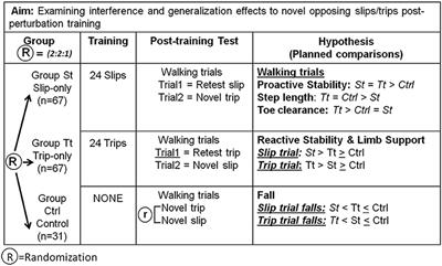 Perturbation Training for Fall-Risk Reduction in Healthy Older Adults: Interference and Generalization to Opposing Novel Perturbations Post Intervention